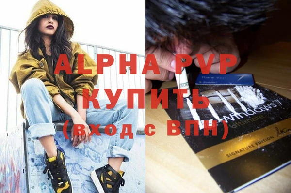 ПСИЛОЦИБИНОВЫЕ ГРИБЫ Каменка