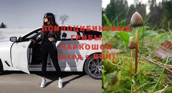 ECSTASY Инсар