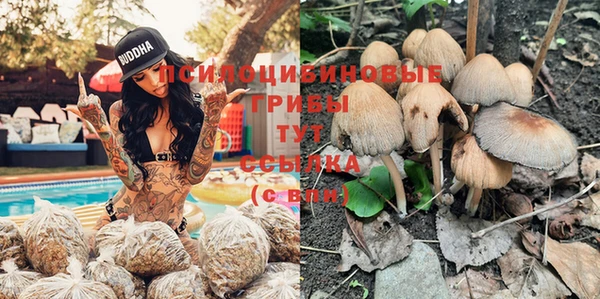 мефедрон мука Новозыбков