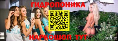 гидра Дубна