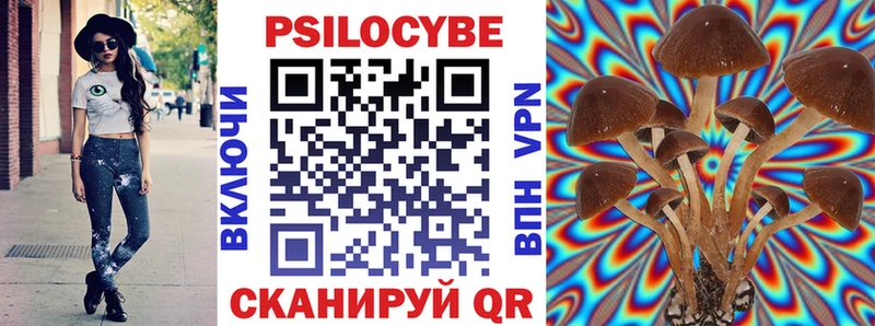 МЕГА как войти  где купить наркотик  Минеральные Воды  Галлюциногенные грибы Psilocybe 